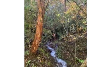 PARCELA DE 5000 M2 CON BOSQUE NATIVO Y VERTIENTE A 16 KM DE LICANRAY