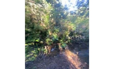 PARCELA DE 5000 M2 CON BOSQUE NATIVO Y VERTIENTE A 16 KM DE LICANRAY