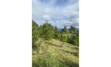 PARCELA DE 5000 M2 CON BOSQUE NATIVO Y VERTIENTE A 16 KM DE LICANRAY