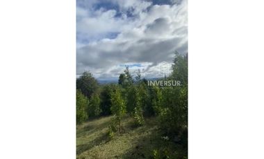 PARCELA DE 5000 M2 CON BOSQUE NATIVO Y VERTIENTE A 16 KM DE LICANRAY