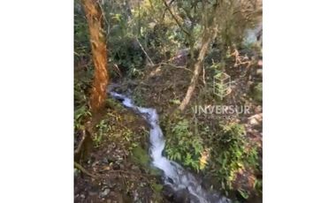 PARCELA DE 5000 M2 CON BOSQUE NATIVO Y VERTIENTE A 16 KM DE LICANRAY