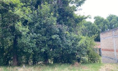 TERRENO EN VENTA EN ALMOLOYA DE JUEREZ