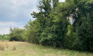 TERRENO EN VENTA EN ALMOLOYA DE JUEREZ