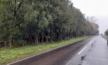 PARCELA A 2 KM DE MANTILHUE