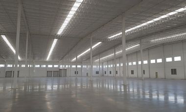 BODEGA EN RENTA  EN IRAPUATO DENTRO DE  PARQUE 9,750m2