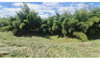 Hermosos lotes en Cerritos-Pereira