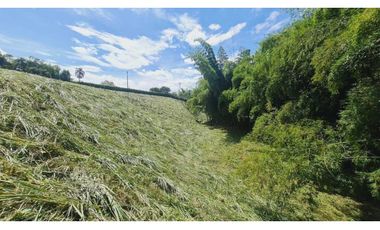 Hermosos lotes en Cerritos-Pereira