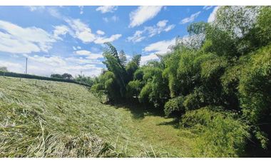 Hermosos lotes en Cerritos-Pereira