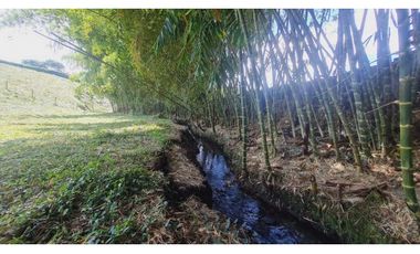 Hermosos lotes en Cerritos-Pereira