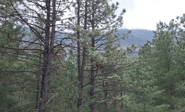CABAÑA EN VENTA,  LA SIERRA DE  ARTEGA