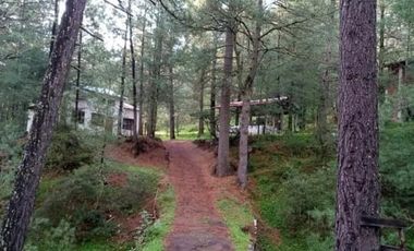 CABAÑA EN VENTA,  LA SIERRA DE  ARTEGA