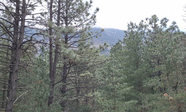 CABAÑA EN VENTA,  LA SIERRA DE  ARTEGA