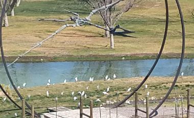 TERRENO EN VENTA EN CARRETERA GRAL CEPEDA PARRAS DE LA FUENTE COAHUILA