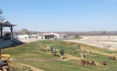 TERRENO EN VENTA EN CARRETERA GRAL CEPEDA PARRAS DE LA FUENTE COAHUILA