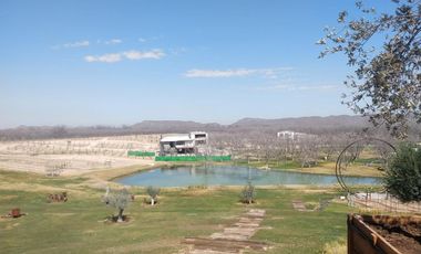 TERRENO EN VENTA EN CARRETERA GRAL CEPEDA PARRAS DE LA FUENTE COAHUILA