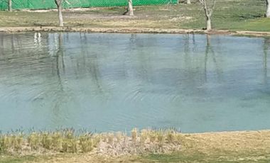 TERRENO EN VENTA EN CARRETERA GRAL CEPEDA PARRAS DE LA FUENTE COAHUILA