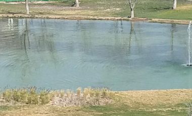 TERRENO EN VENTA EN CARRETERA GRAL CEPEDA PARRAS DE LA FUENTE COAHUILA