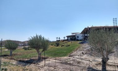 TERRENO EN VENTA EN CARRETERA GRAL CEPEDA PARRAS DE LA FUENTE COAHUILA