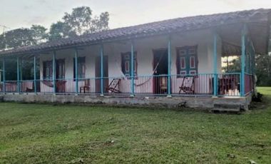 FINCA EN QUIMBAYA-QUINDO VA PANACA