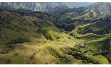 Finca ganadera productiva en san luis ant vereda La Josefina