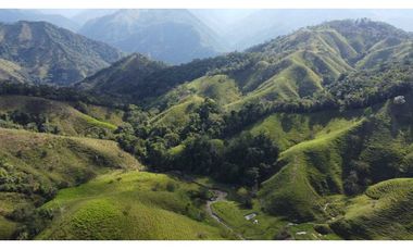 Finca ganadera productiva en san luis ant vereda La Josefina