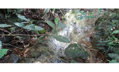 Finca ganadera productiva en san luis ant vereda La Josefina