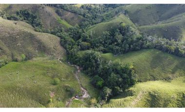 Finca ganadera productiva en san luis ant vereda La Josefina