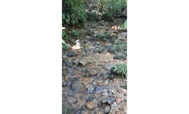 Finca ganadera productiva en san luis ant vereda La Josefina