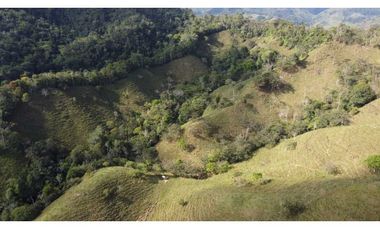 Finca ganadera productiva en san luis ant vereda La Josefina