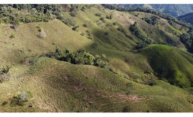 Finca ganadera productiva en san luis ant vereda La Josefina