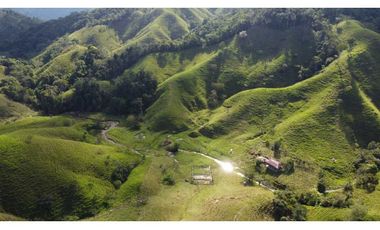 Finca ganadera productiva en san luis ant vereda La Josefina