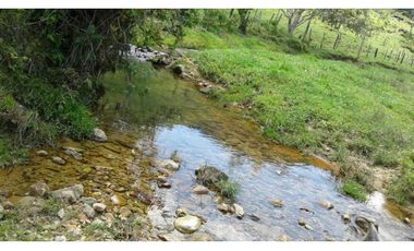 Finca ganadera productiva en san luis ant vereda La Josefina