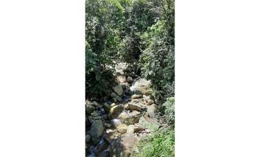 Finca ganadera productiva en san luis ant vereda La Josefina