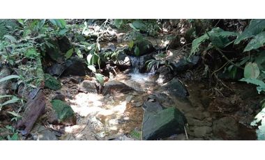 Finca ganadera productiva en san luis ant vereda La Josefina