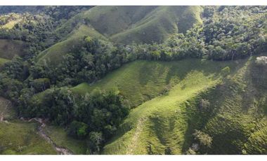 Finca ganadera productiva en san luis ant vereda La Josefina