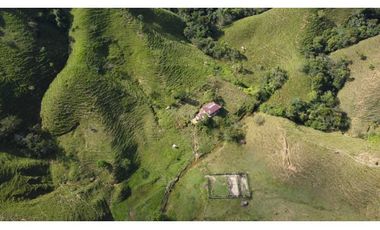 Finca ganadera productiva en san luis ant vereda La Josefina