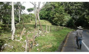 Finca ganadera productiva en san luis ant vereda La Josefina