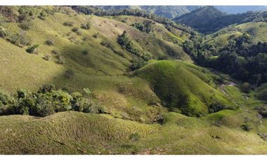 Finca ganadera productiva en san luis ant vereda La Josefina