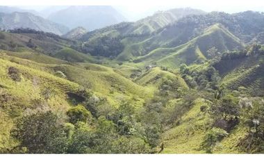 Finca ganadera productiva en san luis ant vereda La Josefina