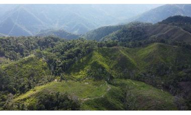 Finca ganadera productiva en san luis ant vereda La Josefina