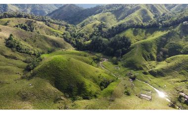 Finca ganadera productiva en san luis ant vereda La Josefina