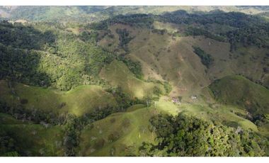 Finca ganadera productiva en san luis ant vereda La Josefina