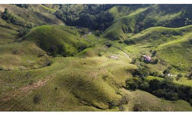 Finca ganadera productiva en san luis ant vereda La Josefina