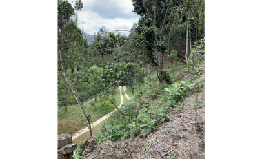 Lote Parcelacion Via Las Palmas