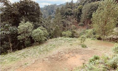 Lote Parcelacion Via Las Palmas