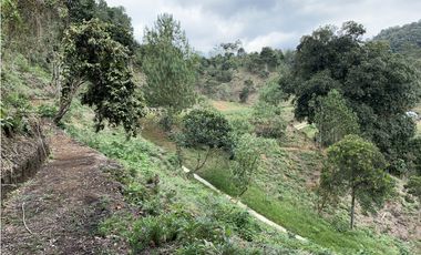 Lote Parcelacion Via Las Palmas