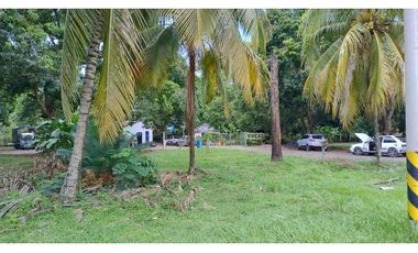 Venta Lote Comercial La Pintada Antioquia