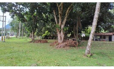 Venta Lote Comercial La Pintada Antioquia