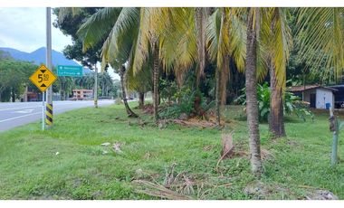 Venta Lote Comercial La Pintada Antioquia