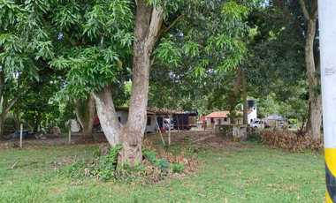 Venta Lote Comercial La Pintada Antioquia